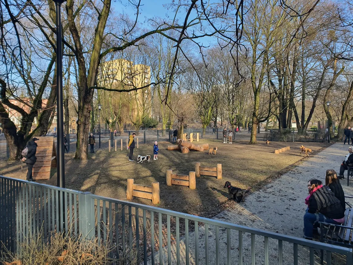 Wybieg dla psów