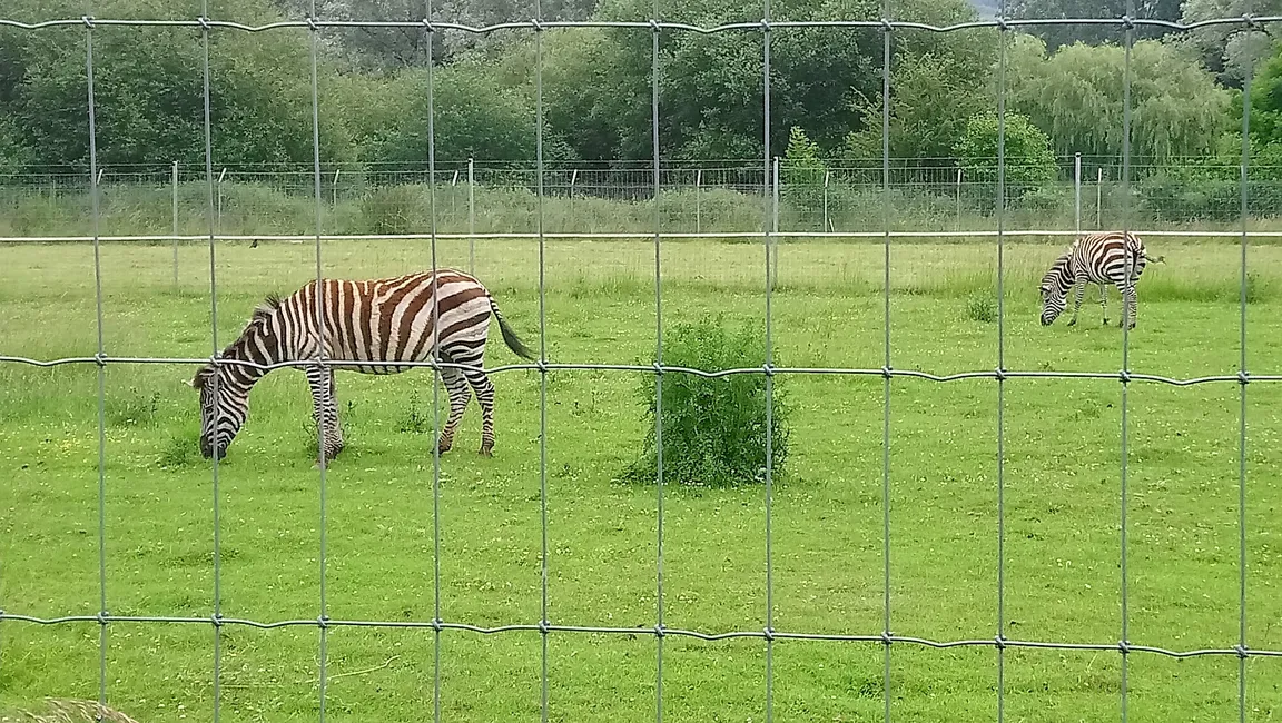 Beale Wildlife Park