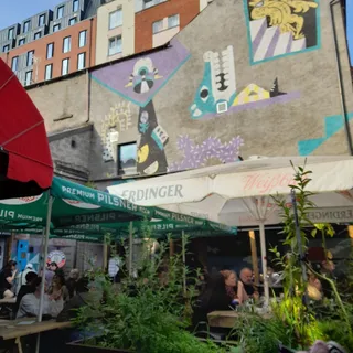Sunflower Public House