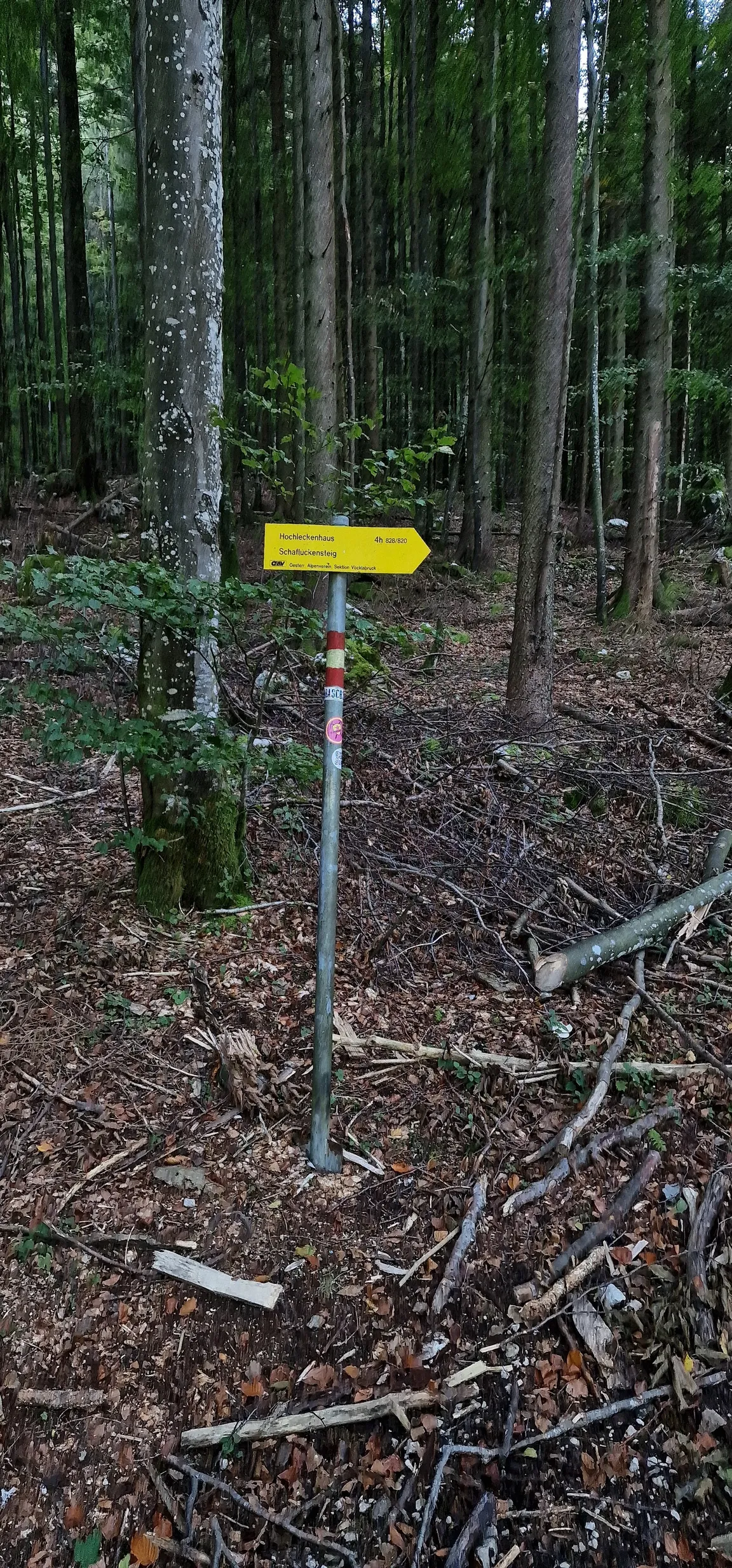 Hinterer Langbathsee Trail