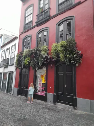 Balcones de la Avenida Marítima
