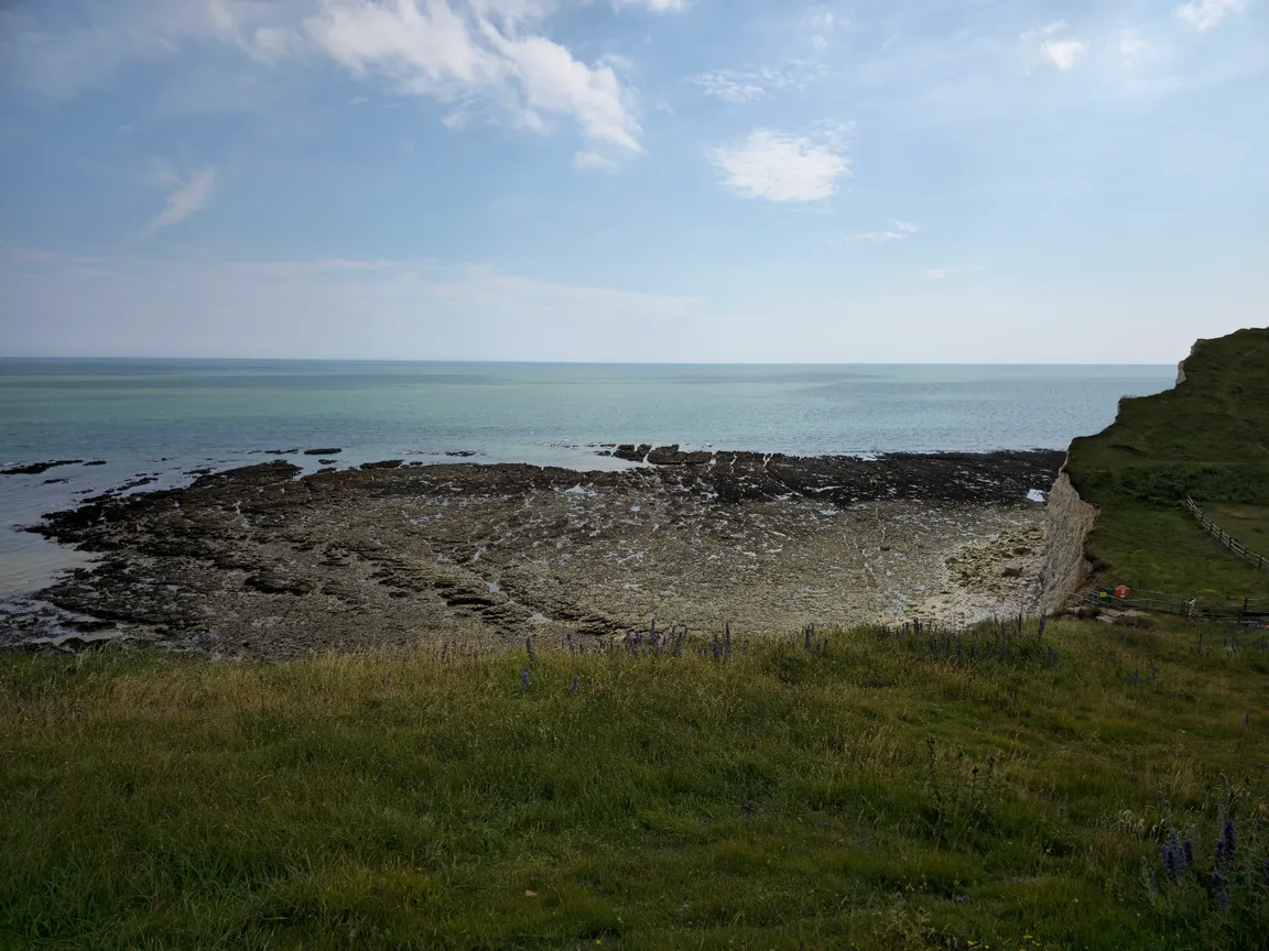 Seaford Head Nature Reserve, Sussex Wildlife Trust