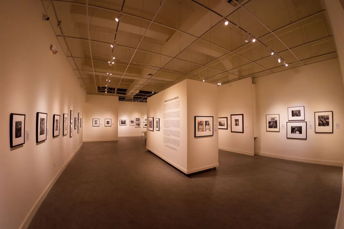 The Florida Museum of Photographic Arts