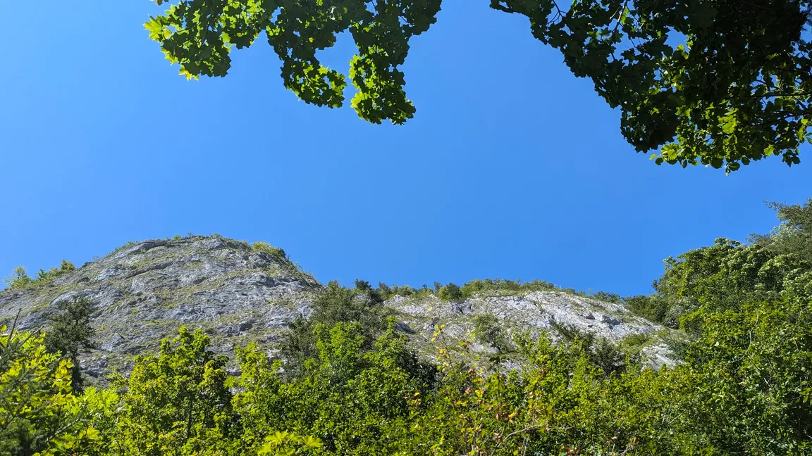 Hiking trail Altausseer See