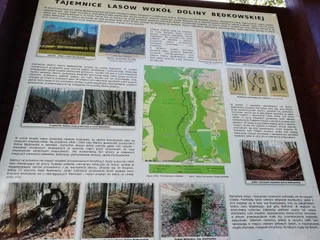 Brandysówka Dolina Będkowska