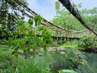 Wyspa Kokosowa