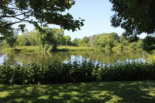 Columbus Park Natural Area