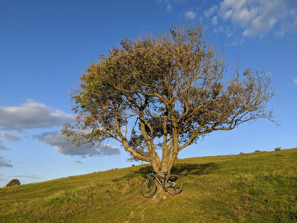 National Trust - Cissbury Ring