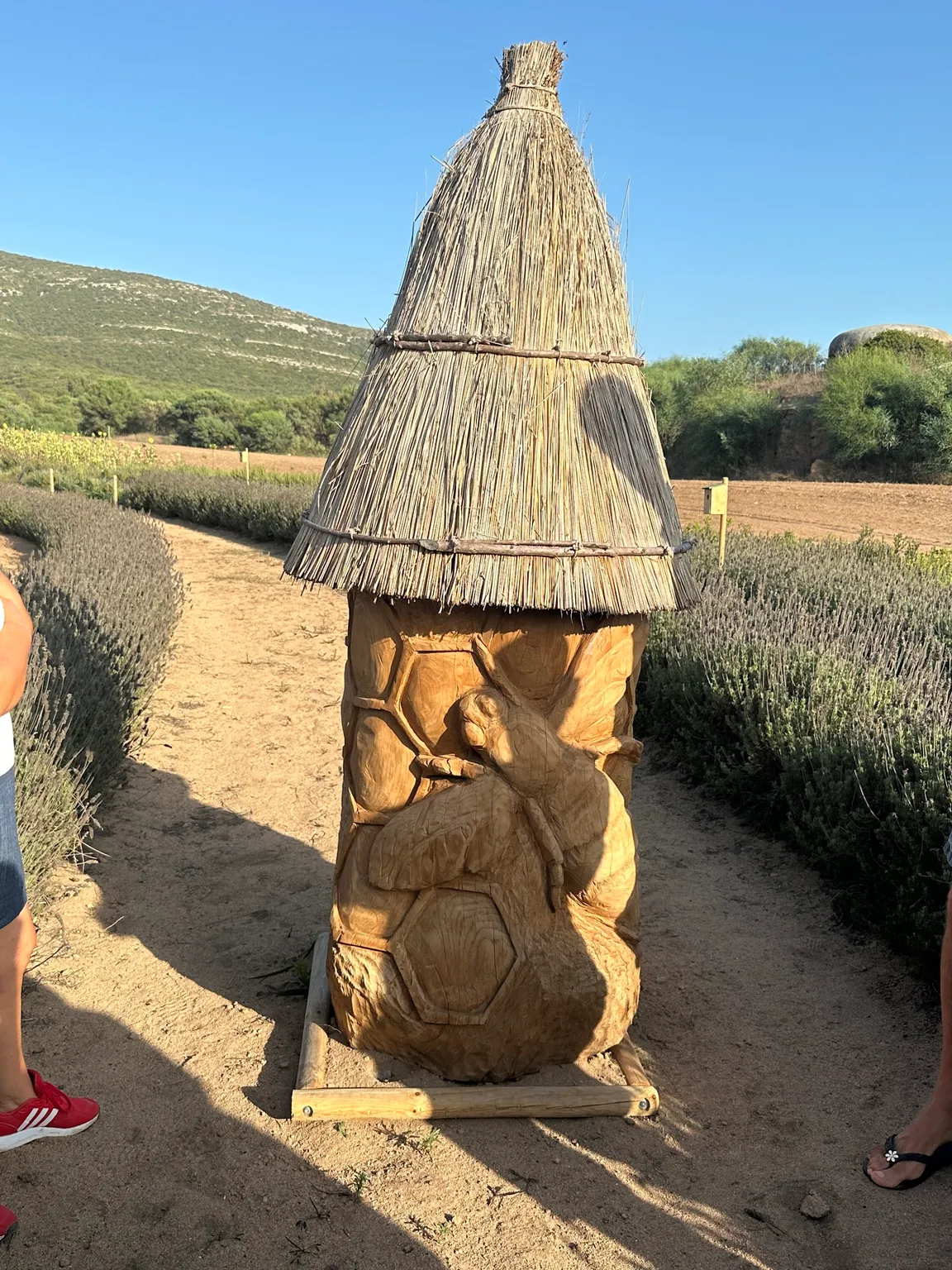 Bee Garden Alghero - Api e biodiversità