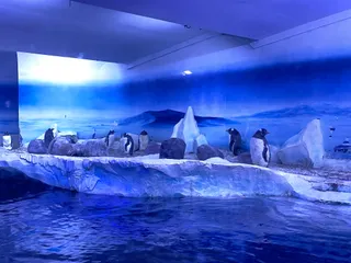 Sea Life London Aquarium