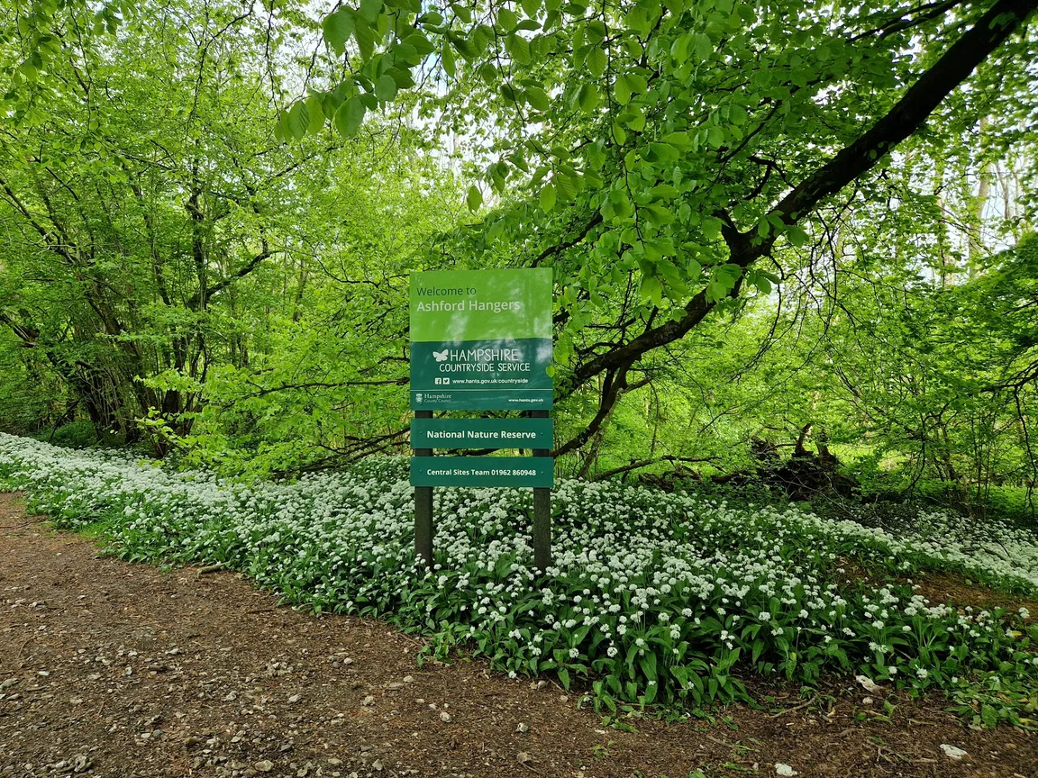 Ashford Hangers National Nature Reserve