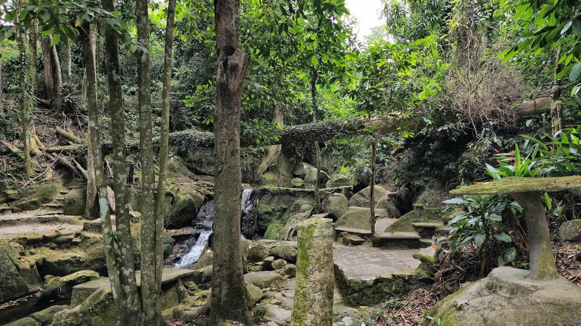 Tarnim Magic Garden