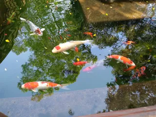 Limas­sol Zoo