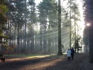 Black Park Country Park