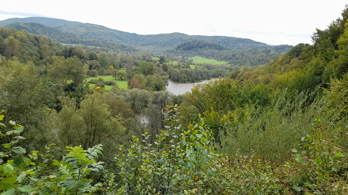 Krywe Rezerwat Przyrody