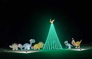 Cayley Christmas Dinosaurs