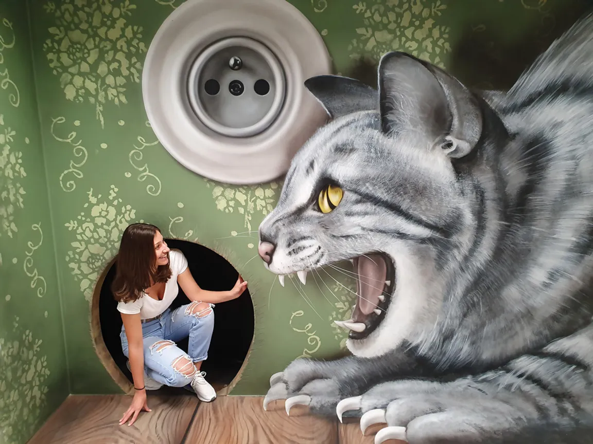 Museum of Fantastic Illusions