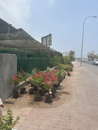 مشتل القديمة