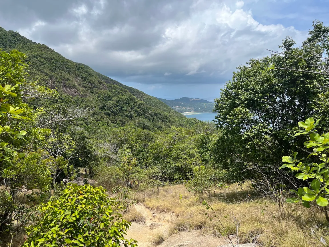 Headtrail for Bottle Beach