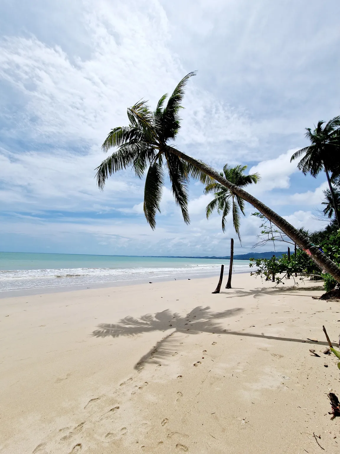 Coconut beach
