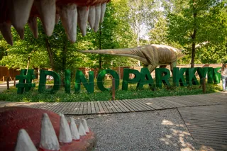 Park Dynozavriv