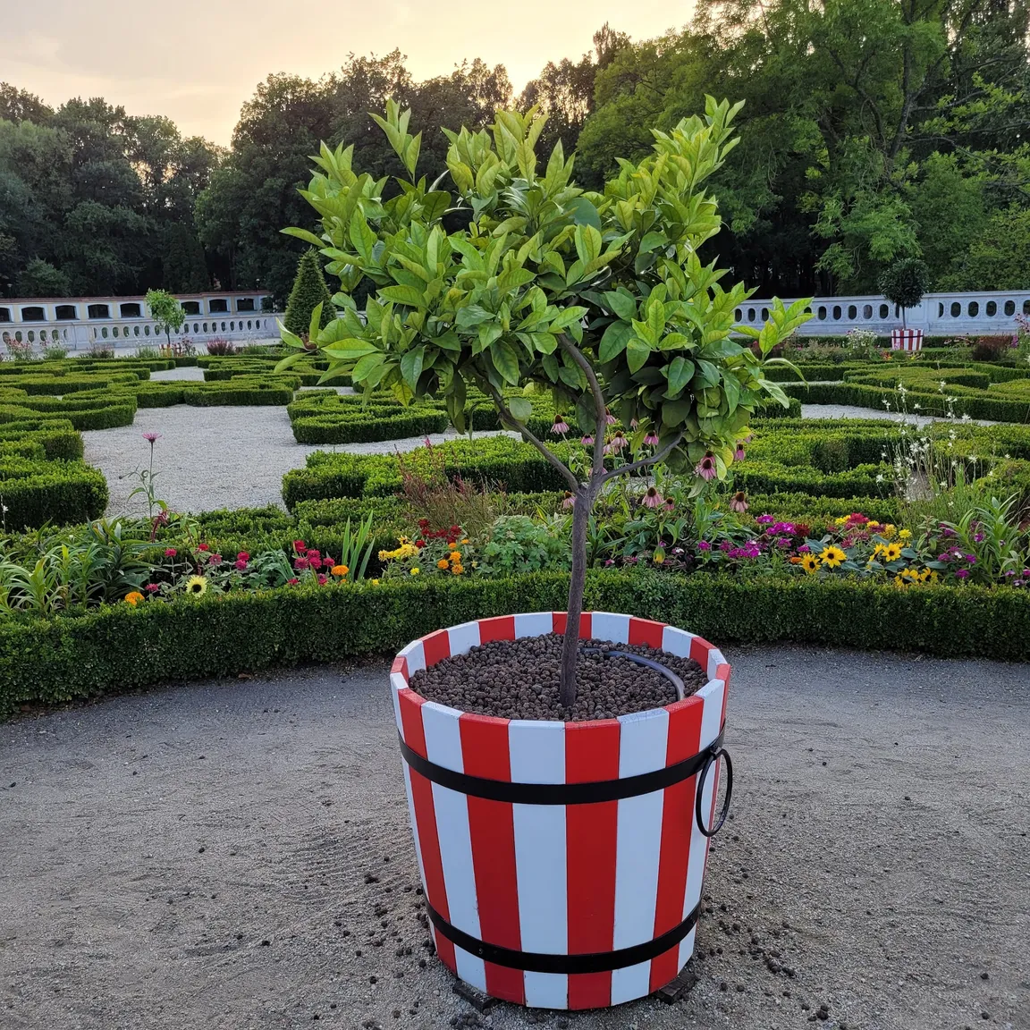 Park Branickich w Białymstoku