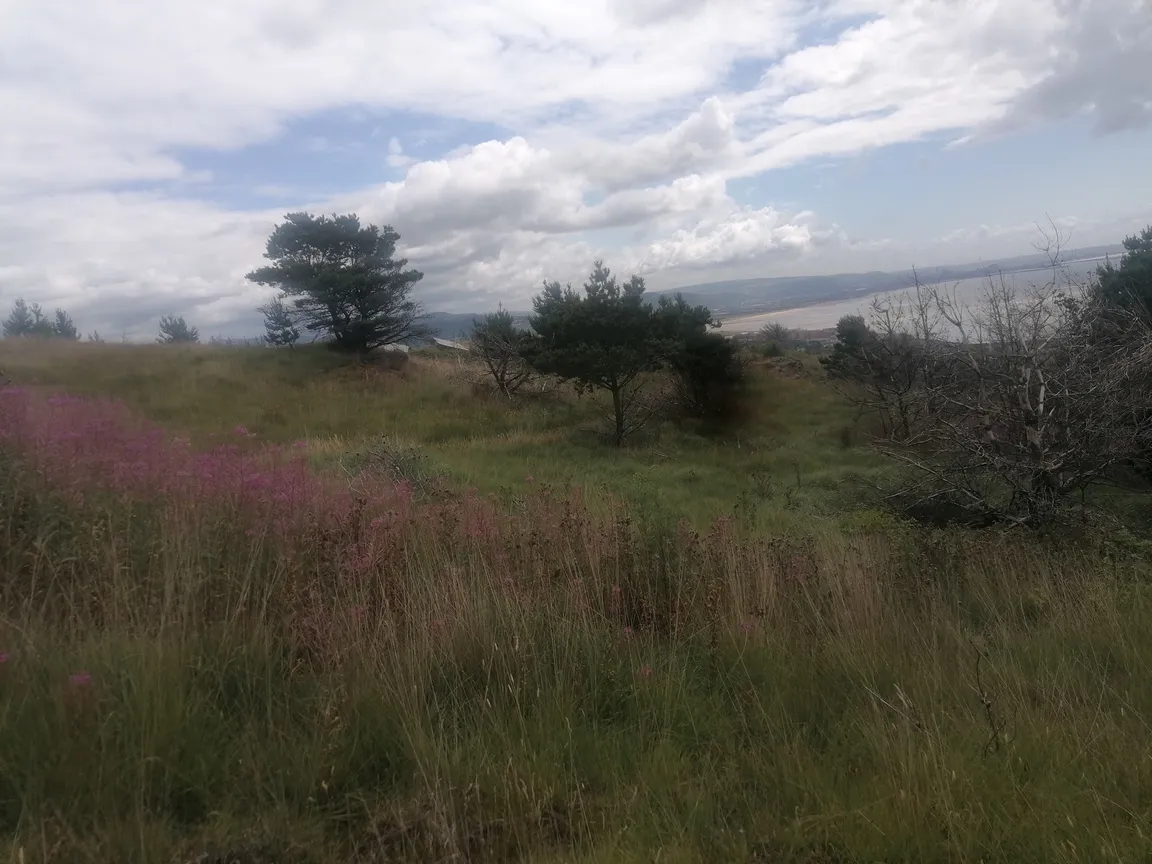 Kilvey Hill Trail
