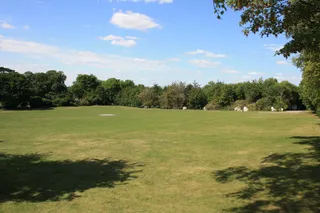 White Mark Farm