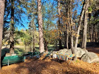 Pioneer Park