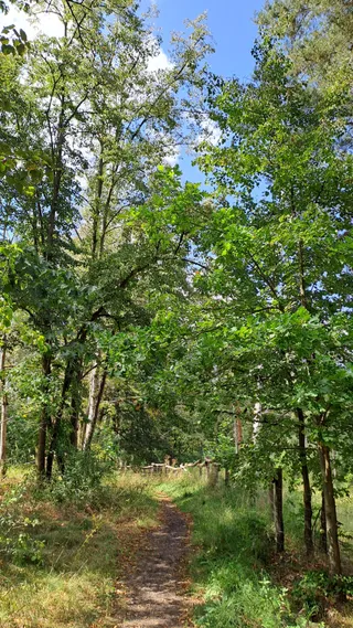 Naturschutzgebiet