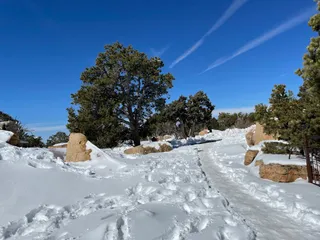 Grand Canyon Visitor - Kaibab Rim (Orange Route)