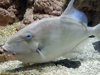 Lanzarote Aquarium