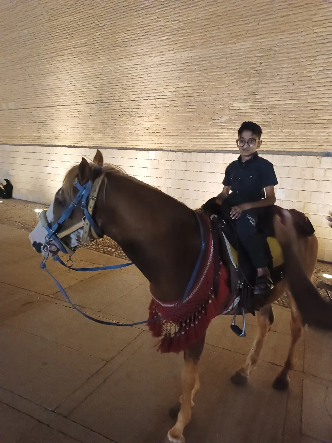 پارک دایناسور ها
