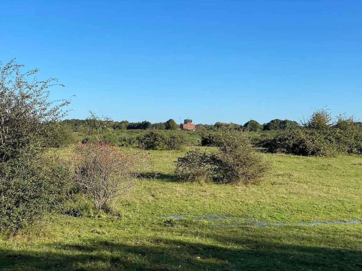 Greenham & Crookham Common Nature Reserve