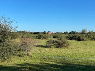 Greenham & Crookham Common Nature Reserve