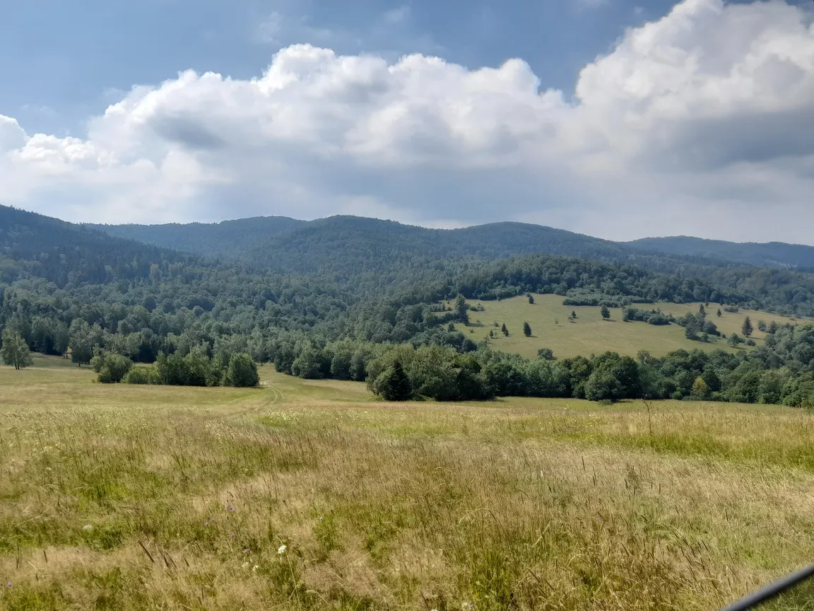 Terenówka w Bieszczadach. Bieszczady 4x4 Off Road.
