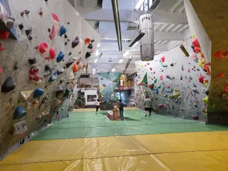 Monkey Boulder