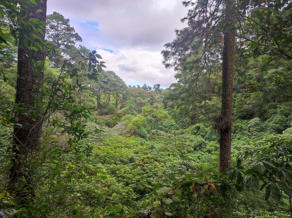 Parque Ecológico Kanajuyú