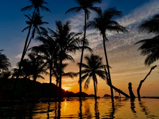Shambhala Beach Bar & Restaurant