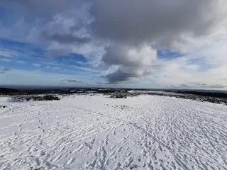 Wills Neck
