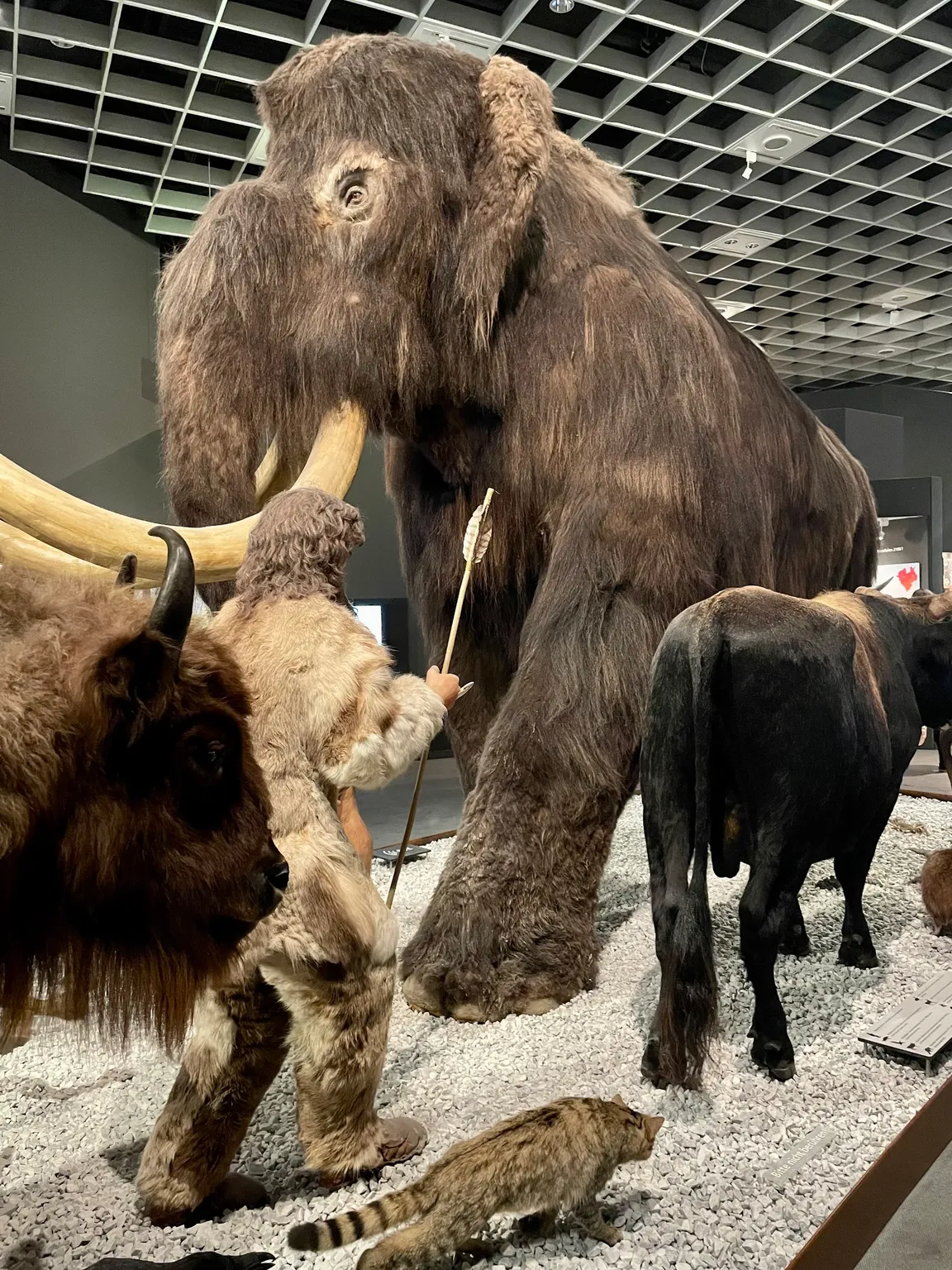 LWL Museum of Natural History with Planetarium