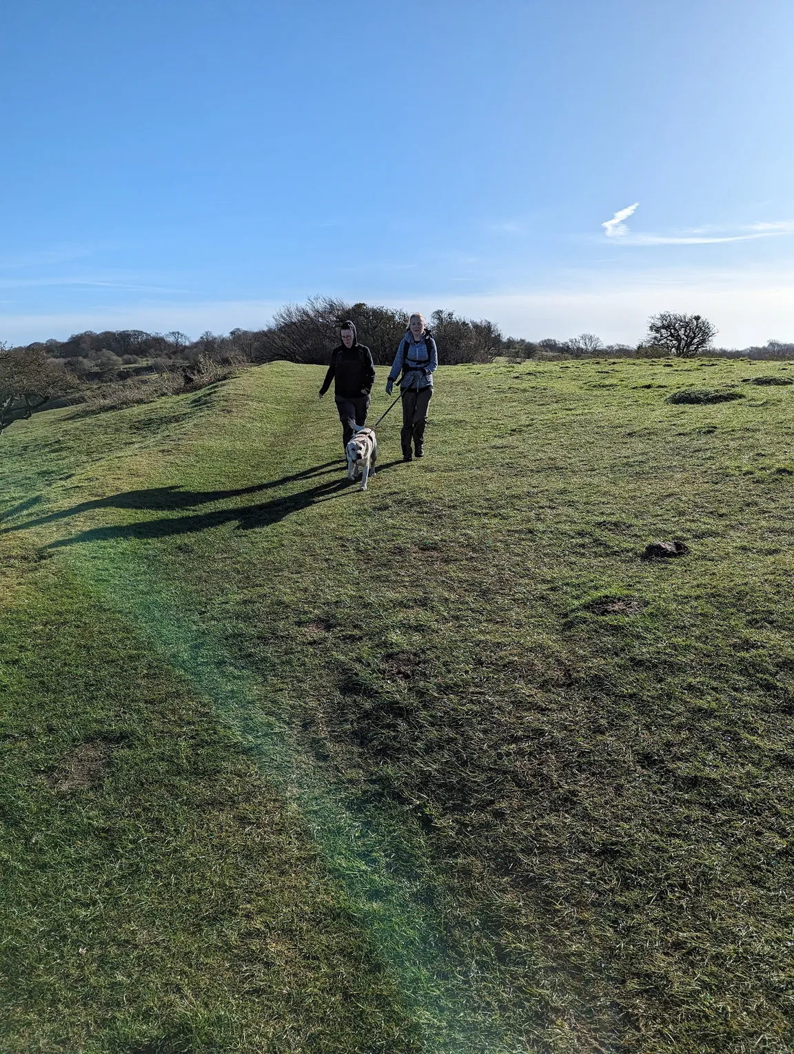 Crickley Hill Country Park