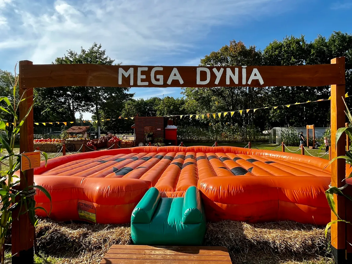 Farma Wuja Toma - Dyniolandia