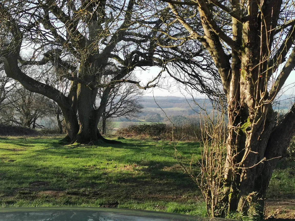 Newlands Corner
