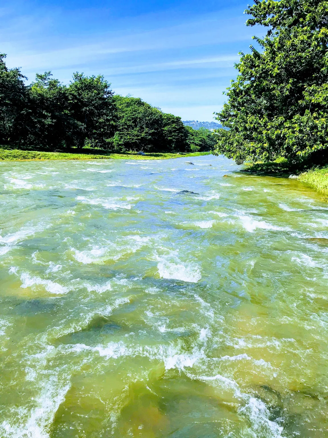 Rio Jimenoa
