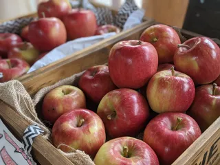 Jozankei Farm, Fruit Theme Park