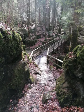 Naturpark Blausee
