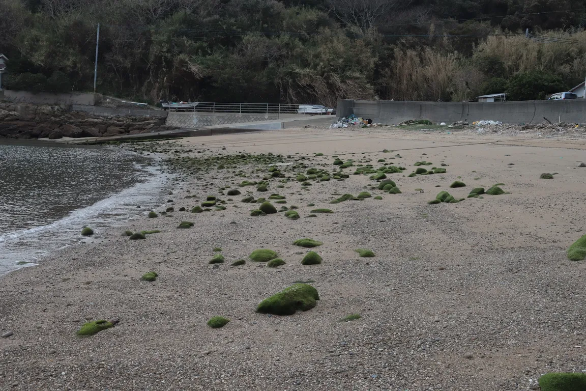 栗の浦浜