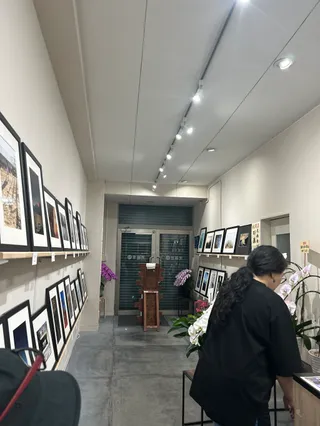 光画舎 M