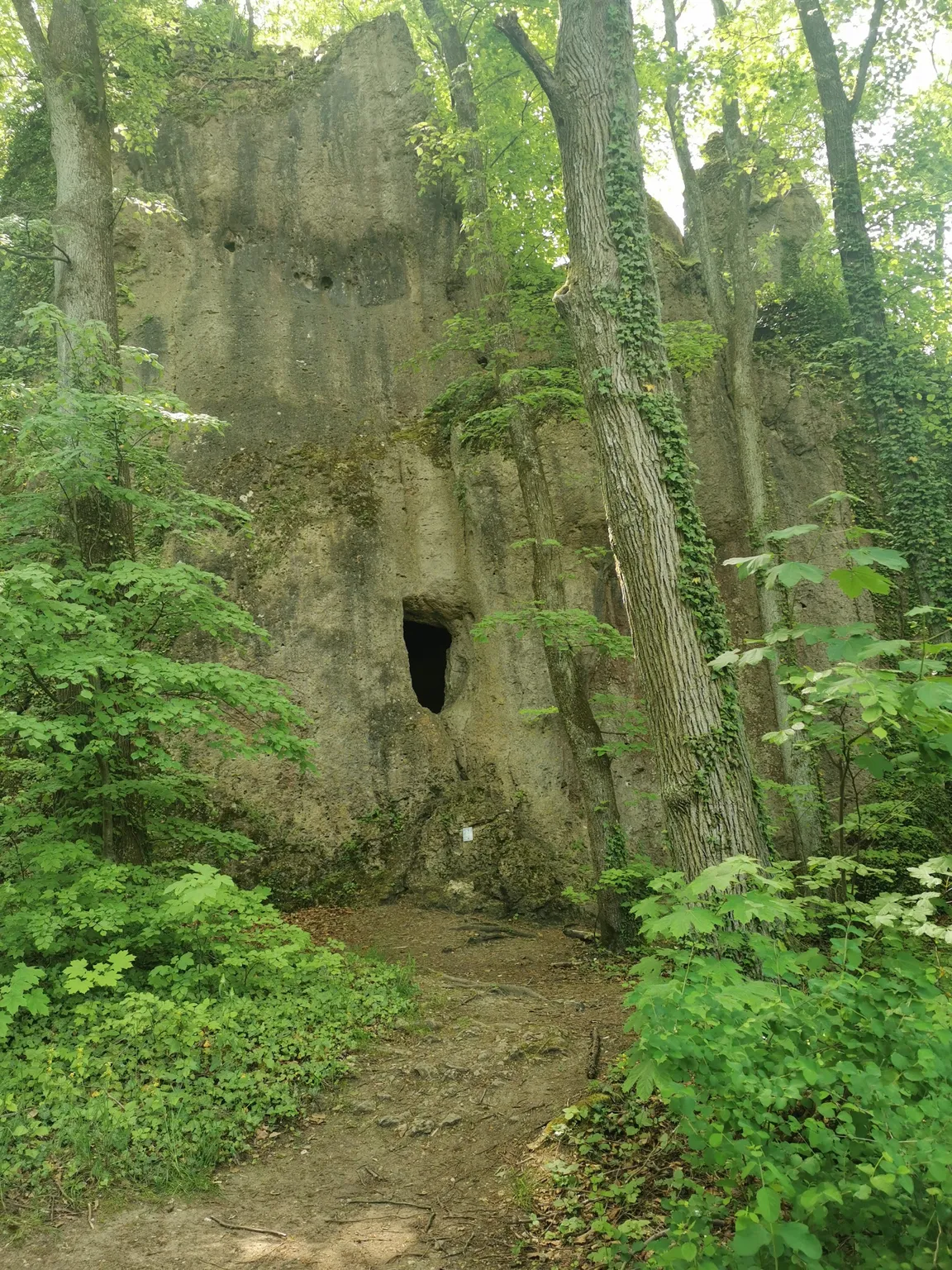 Walli-Maus-Weg Erlebniswanderung